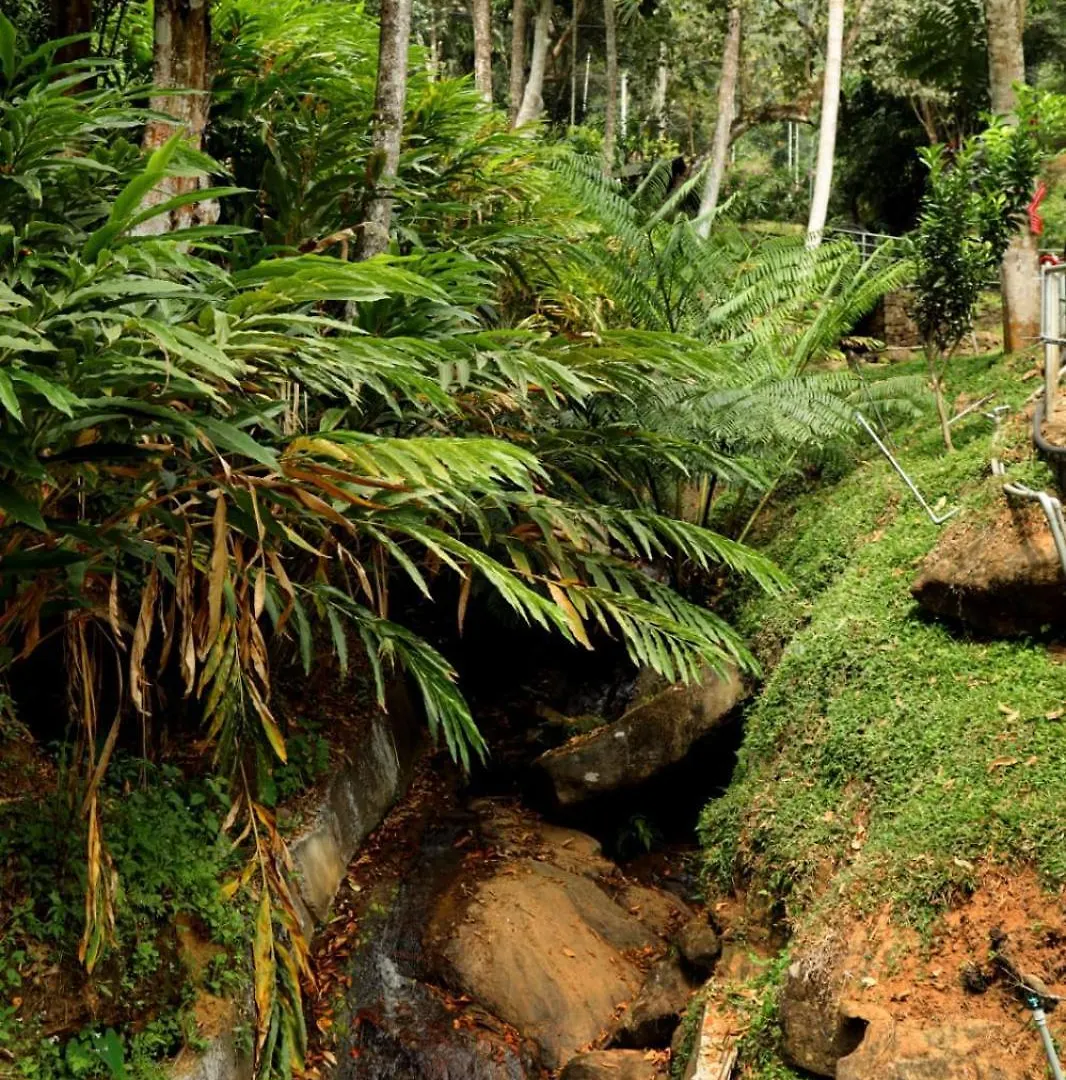 Garden Of Eden-Thottam Munnar-Hiking And Camping Anachal 0*,  India