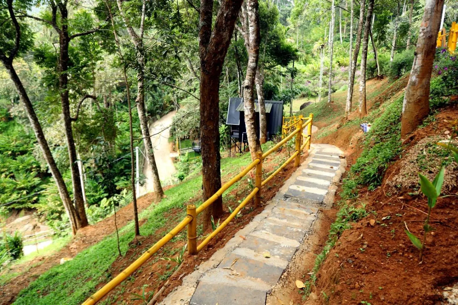 Garden Of Eden-Thottam Munnar-Hiking And Camping Anachal
