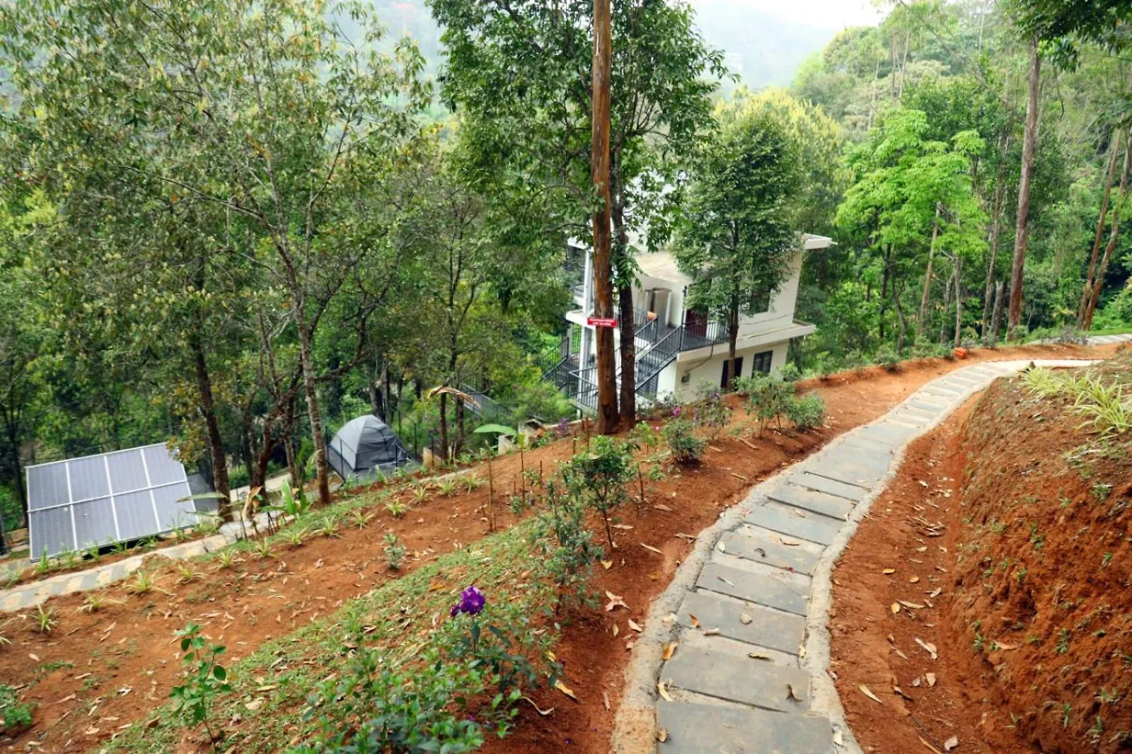 Garden Of Eden-Thottam Munnar-Hiking And Camping Anachal India