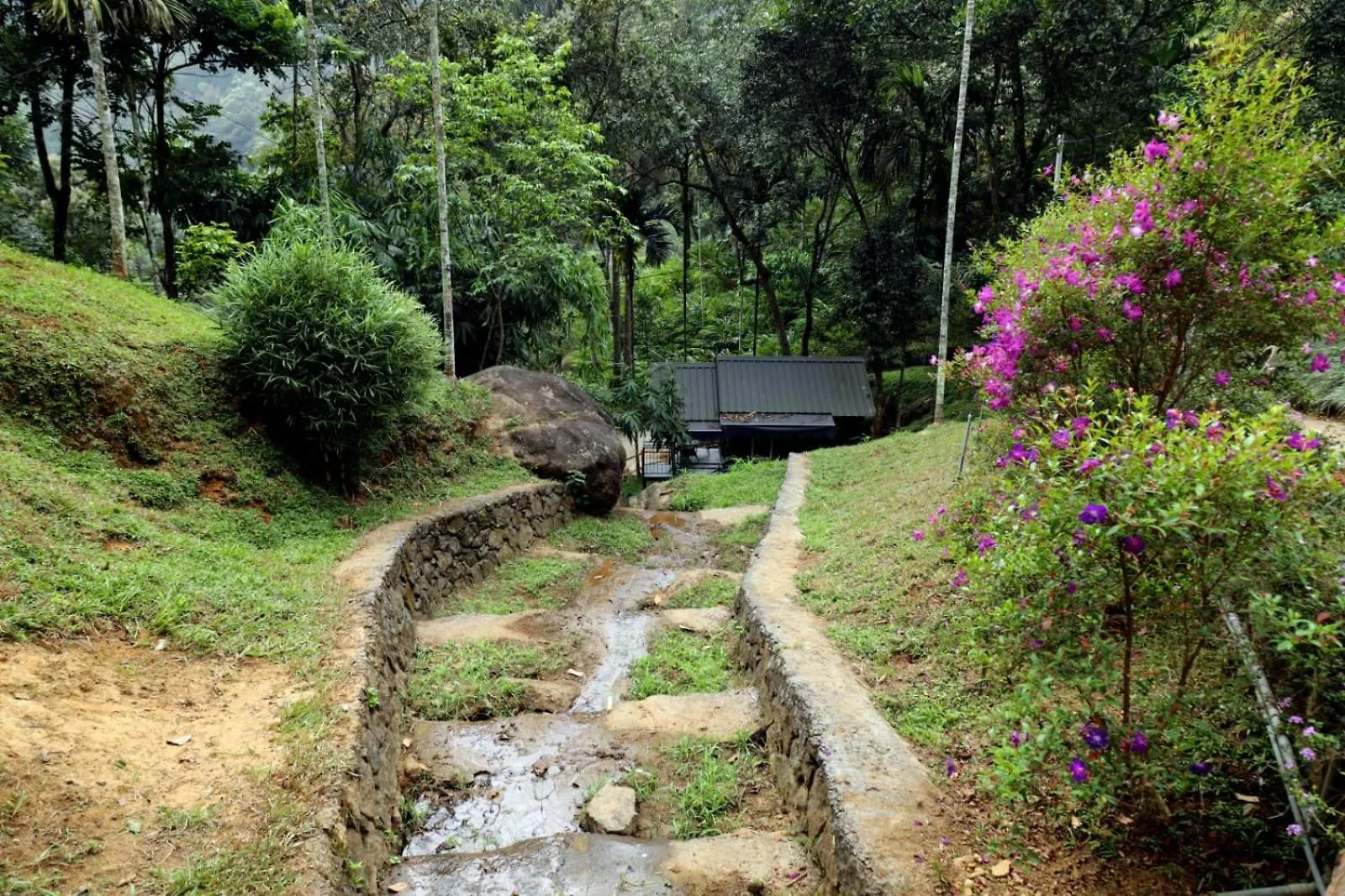 Resort Garden Of Eden-Thottam Munnar-Hiking And Camping Anachal India