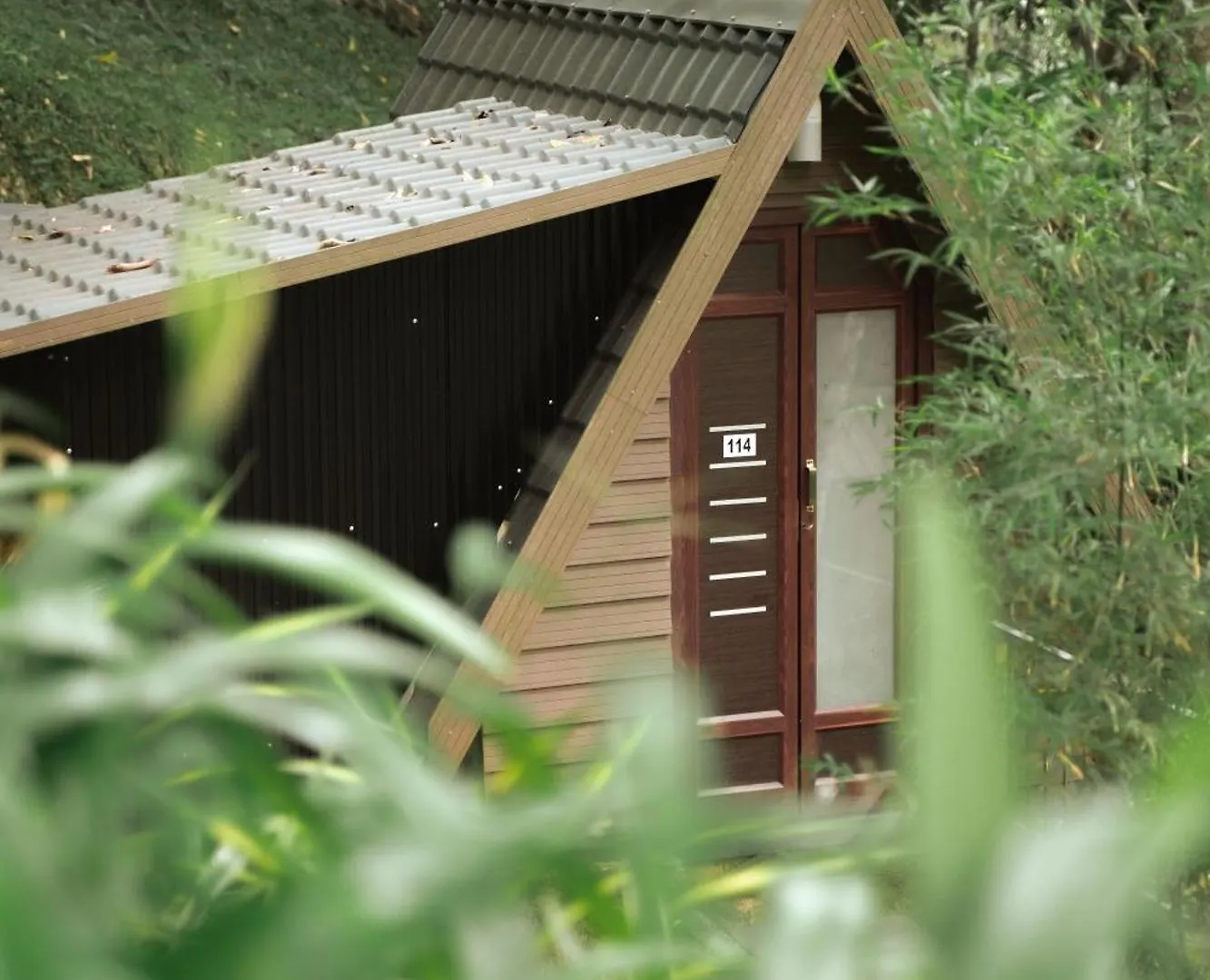 Garden Of Eden-Thottam Munnar-Hiking And Camping Anachal