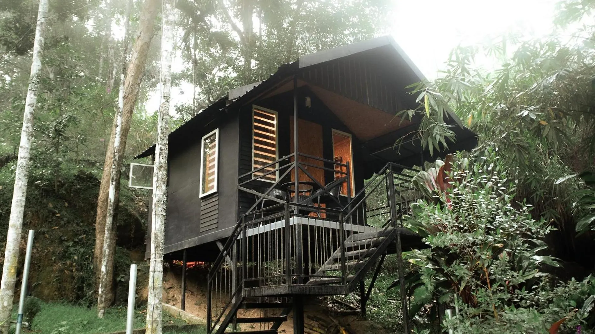 Garden Of Eden-Thottam Munnar-Hiking And Camping Anachal Resort