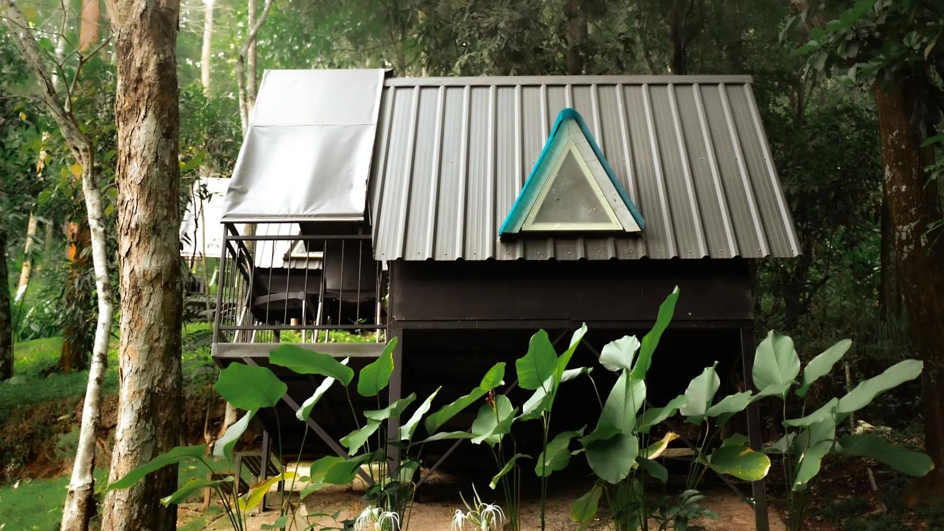 Garden Of Eden-Thottam Munnar-Hiking And Camping Anachal 0*,  India