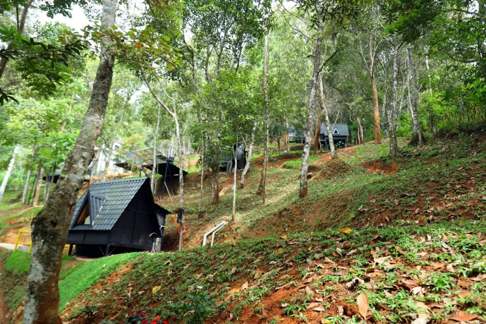 Resort Garden Of Eden-Thottam Munnar-Hiking And Camping Anachal India