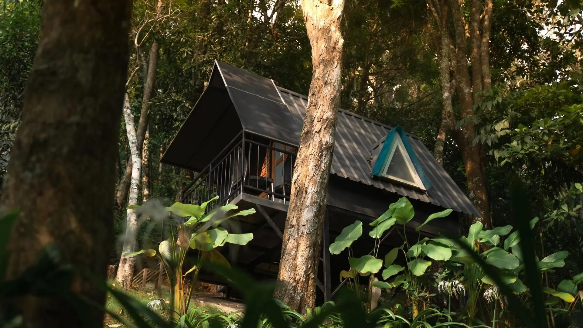 Garden Of Eden-Thottam Munnar-Hiking And Camping Anachal India